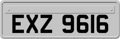 EXZ9616