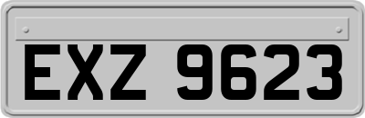 EXZ9623