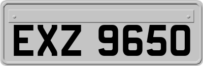 EXZ9650