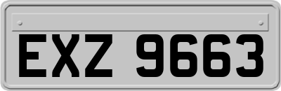 EXZ9663