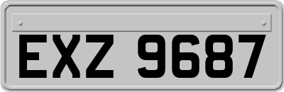 EXZ9687