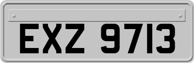 EXZ9713