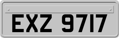 EXZ9717