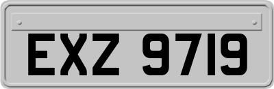 EXZ9719