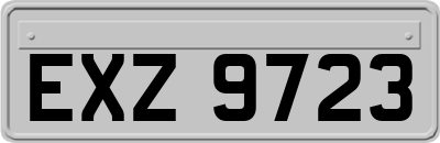 EXZ9723
