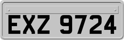 EXZ9724