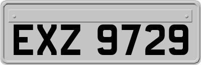 EXZ9729