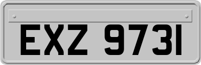 EXZ9731