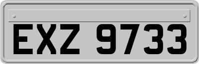 EXZ9733