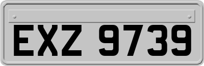 EXZ9739