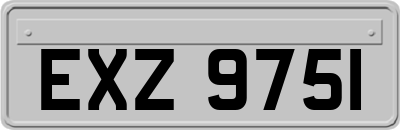 EXZ9751