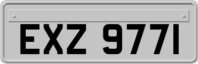 EXZ9771