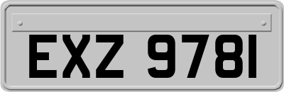 EXZ9781