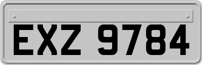 EXZ9784