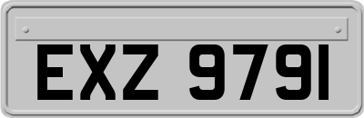 EXZ9791