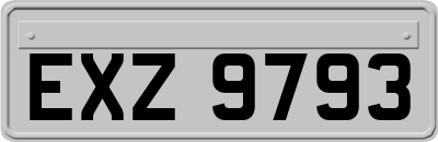 EXZ9793