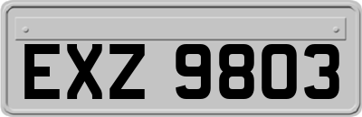 EXZ9803