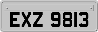 EXZ9813