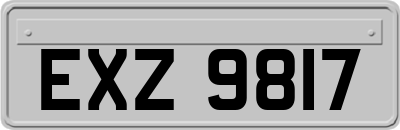 EXZ9817