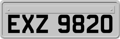 EXZ9820