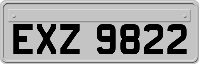 EXZ9822