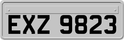 EXZ9823