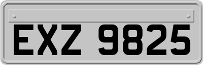 EXZ9825