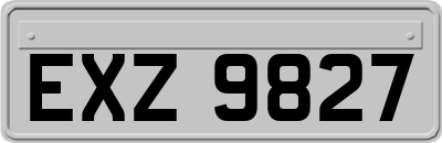 EXZ9827