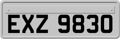 EXZ9830