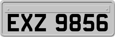 EXZ9856
