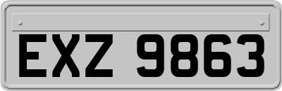 EXZ9863