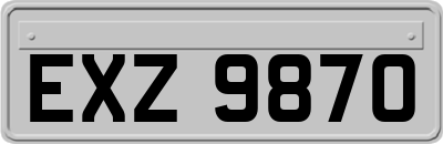 EXZ9870