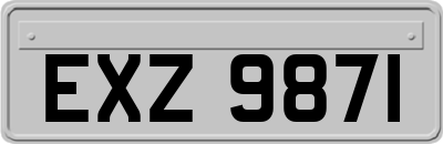 EXZ9871
