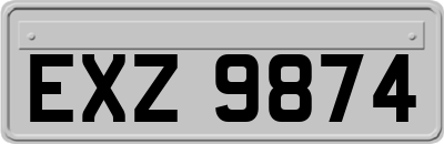 EXZ9874