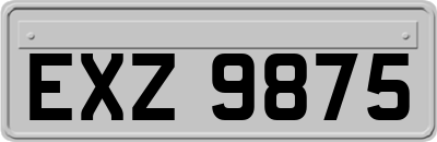 EXZ9875