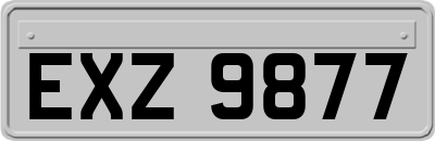 EXZ9877