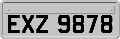 EXZ9878