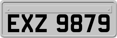 EXZ9879