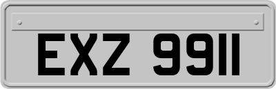 EXZ9911