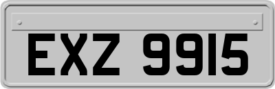 EXZ9915