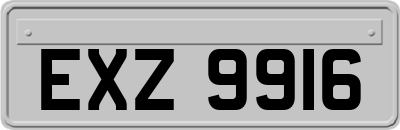 EXZ9916