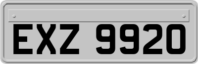 EXZ9920