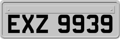 EXZ9939