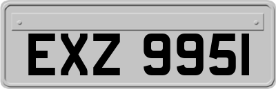 EXZ9951