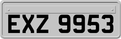 EXZ9953
