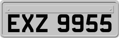 EXZ9955
