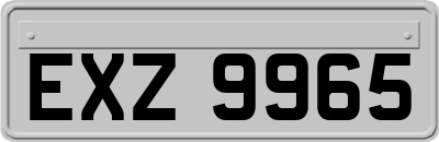EXZ9965