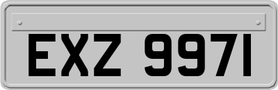 EXZ9971