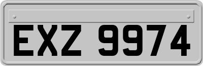 EXZ9974