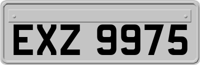 EXZ9975